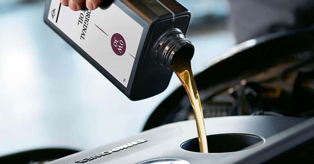 Oil Change Wesley Chapel