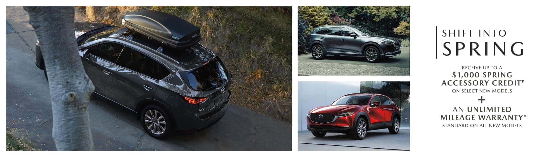 Shift Into Spring @ Palladino Mazda