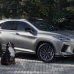 Lexus RX Hybrid Luxury Electric Vehicle