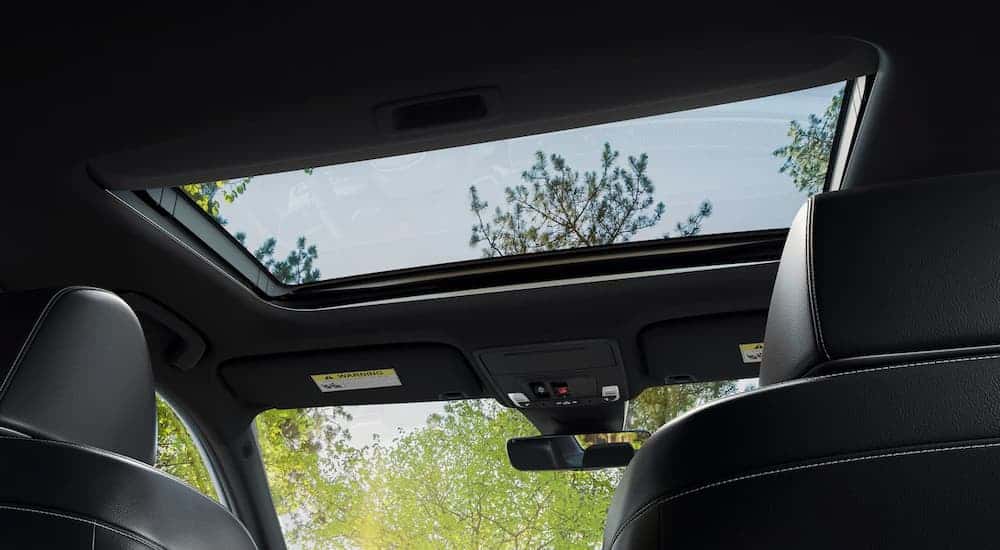 Sunroof and front seats in a 2025 Honda Civic