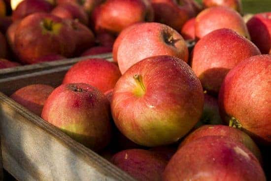 Fall Things to do in Sacramento, California