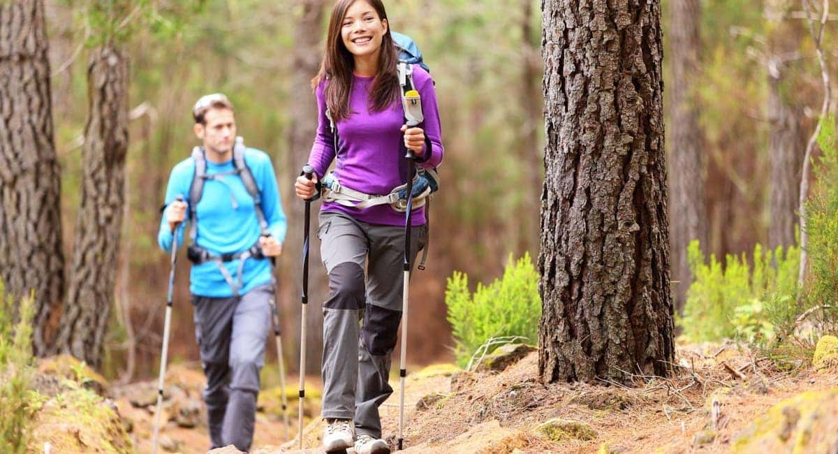 Hikers in forest