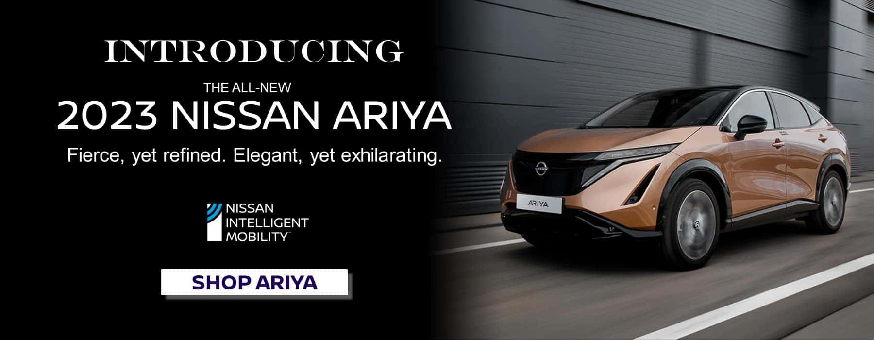 ARIYA INTRO