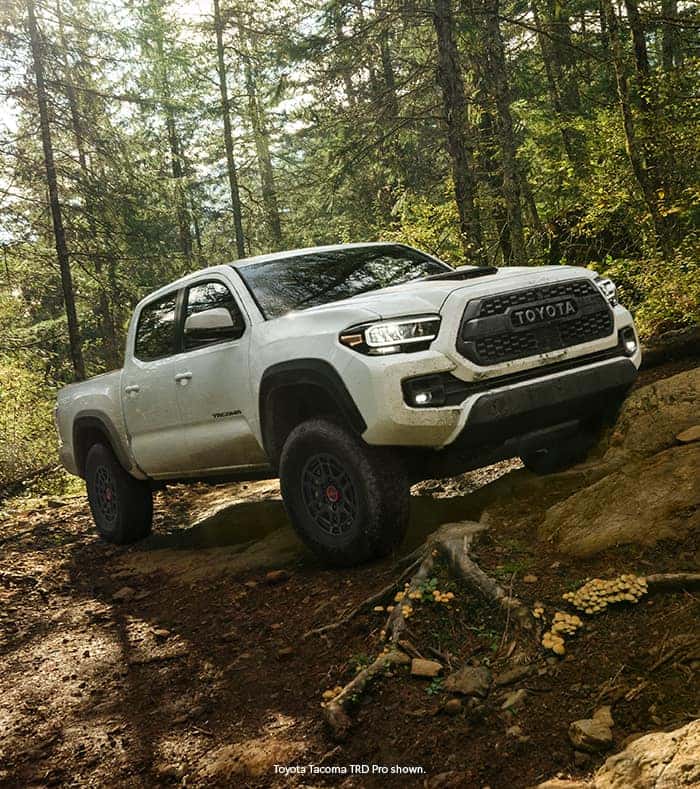 Toyota Tacoma Trim Comparison Levels And Packages Explained 