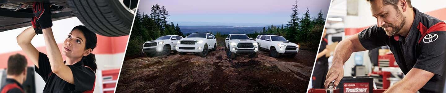 Toyota Service Coupons