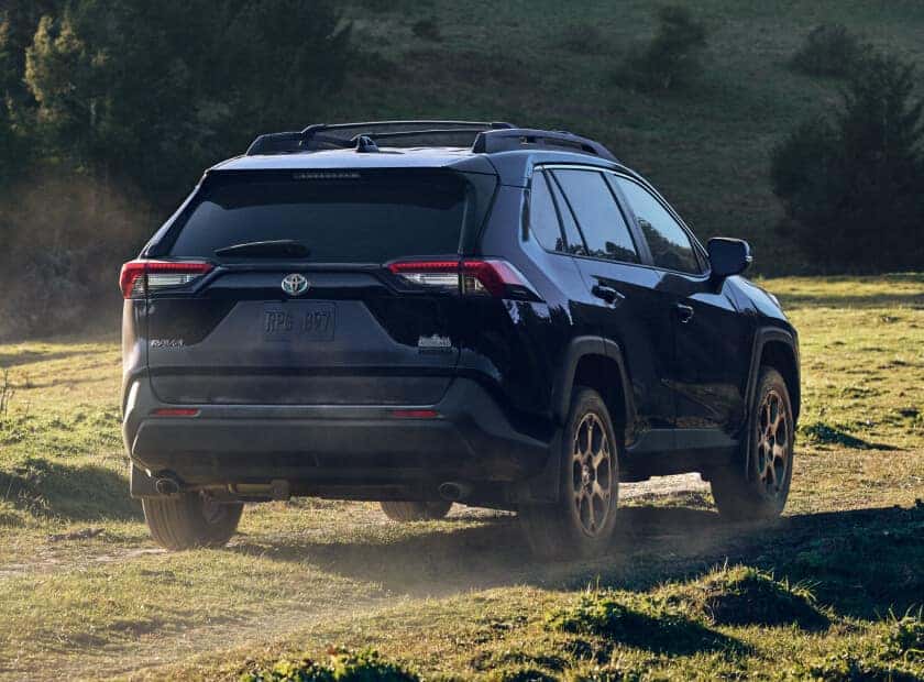 Toyota RAV4 Woodland Release Date