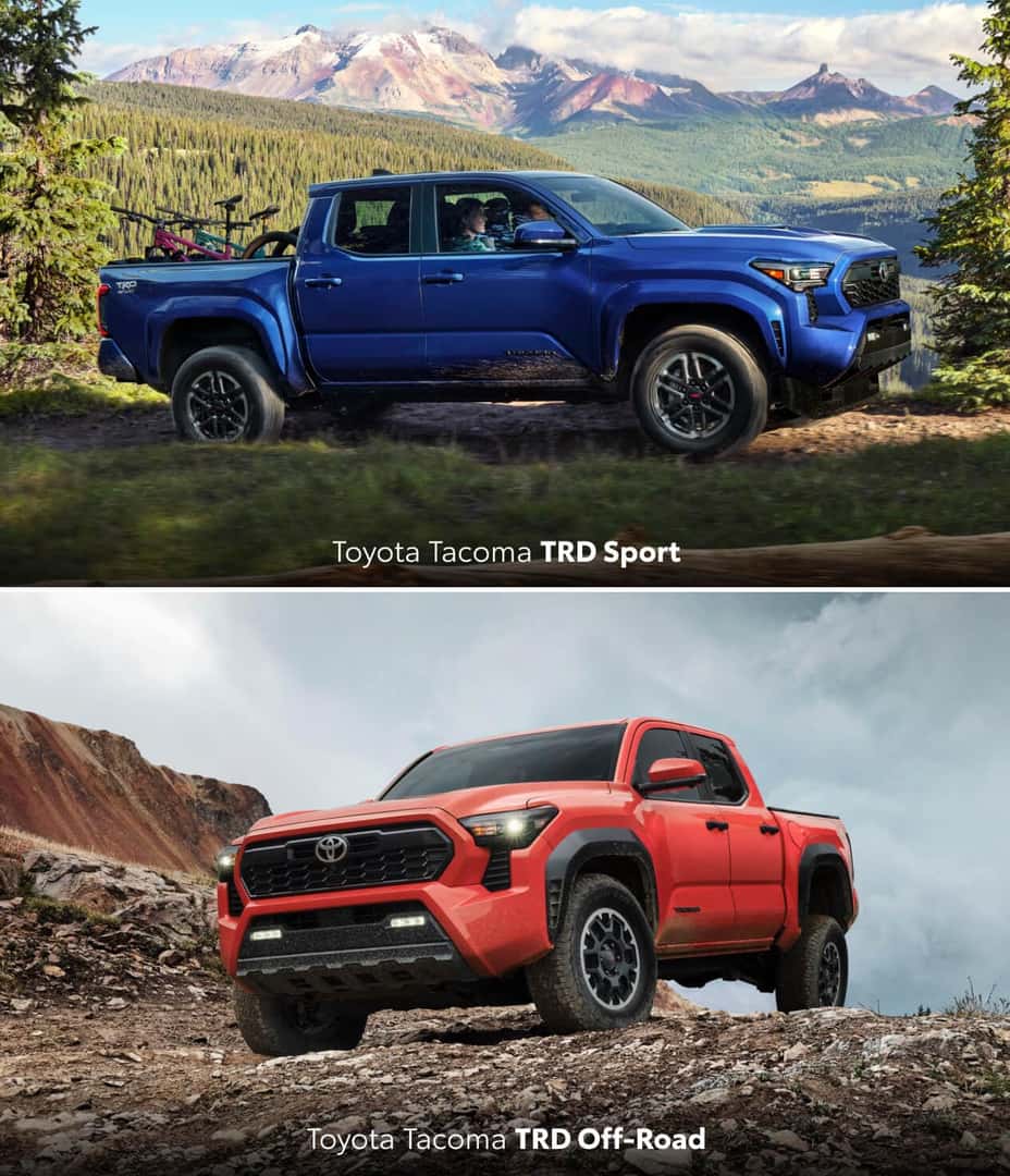 Tacoma Off Road