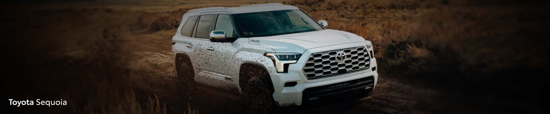 2026 toyota sequoia