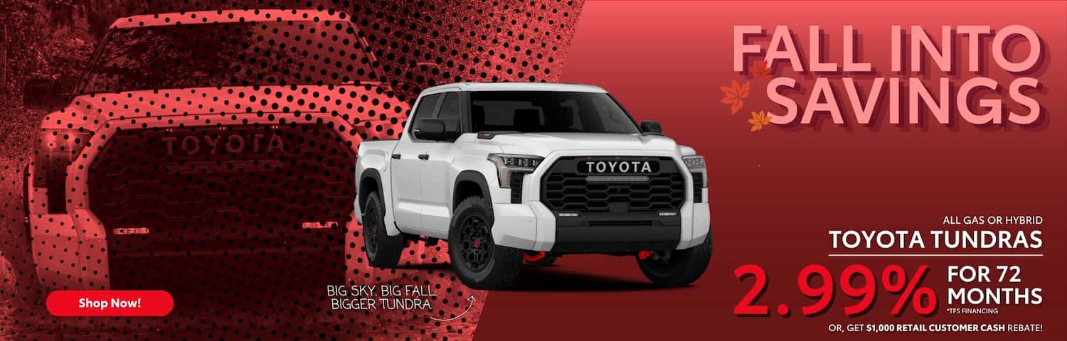 September 2026 Desktop Website Banners – NSE Tundra