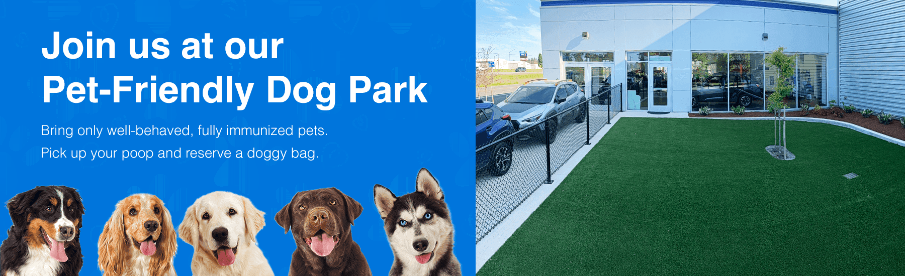 Join us at our Pet-Friendly Dog Park
