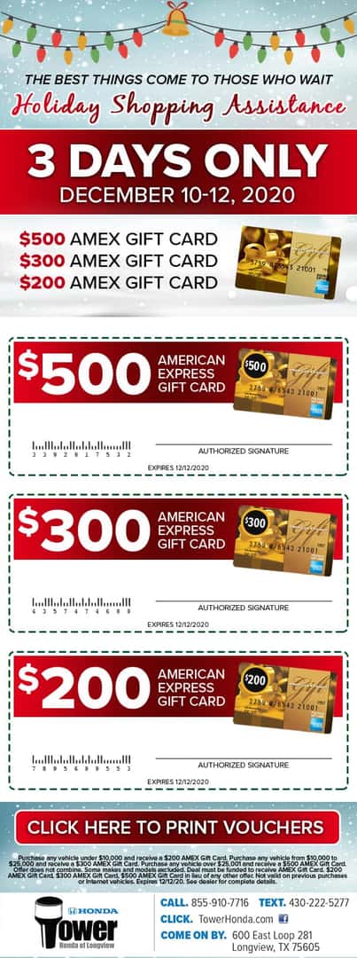 Holiday Shopping Assistance - 3 Days Only