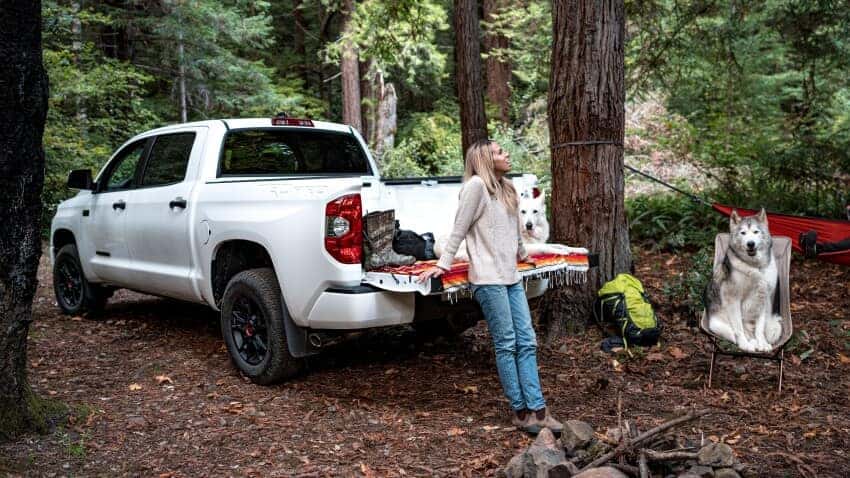 Toyota Cargo