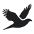 Flying Dove