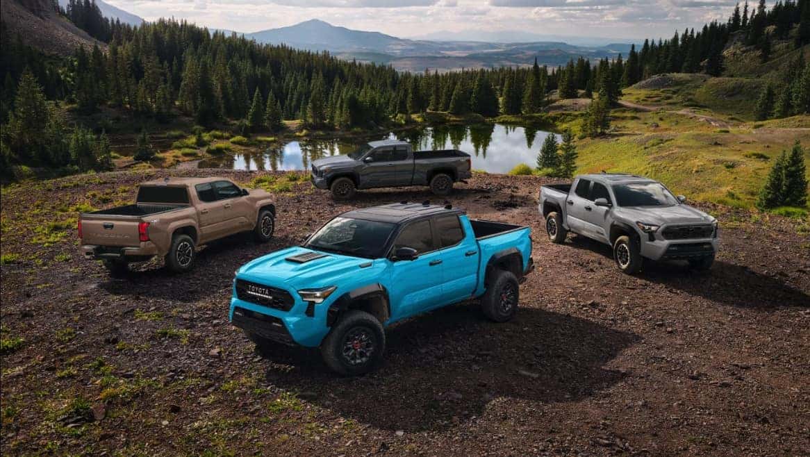 2026 Toyota Tacoma Lineup at Toyota of Cedar Park in Cedar Park, TX