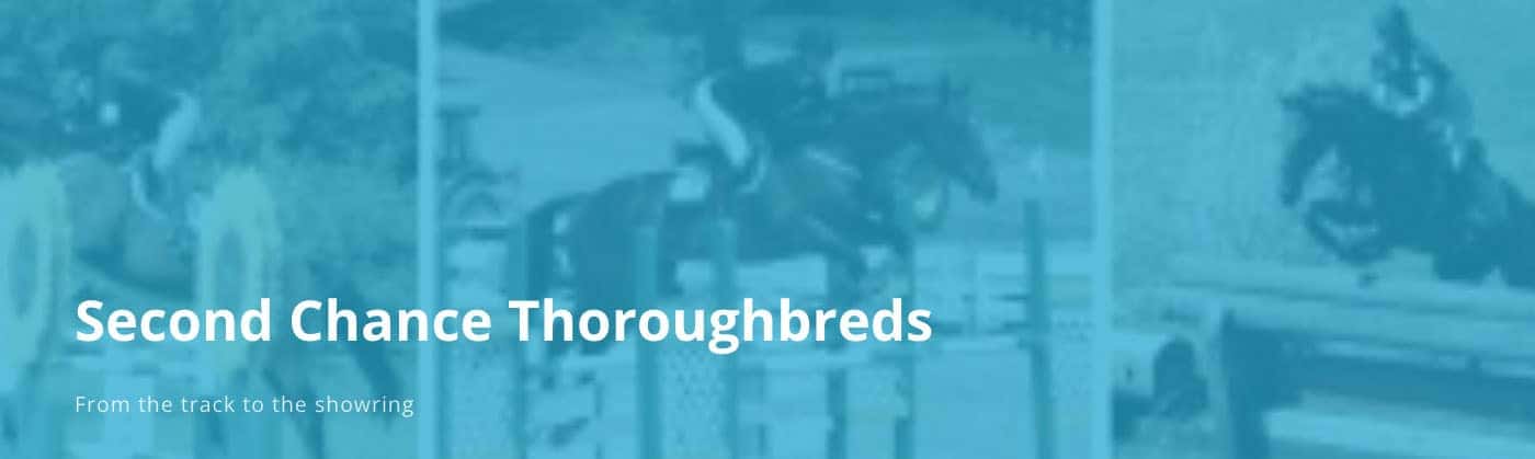Second Chance Thoroughbreds
