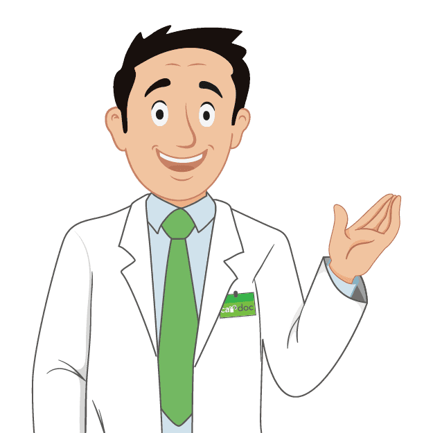 CarDoc Maintenance & Membership