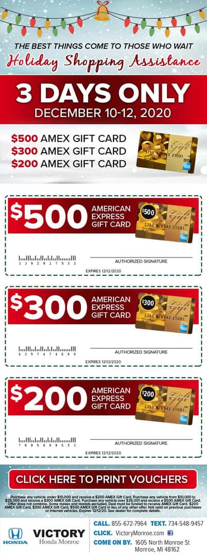 Holiday Shopping Assistance - 3 Days Only