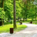 Beautiful Spring Park