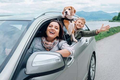 Fun Car Games