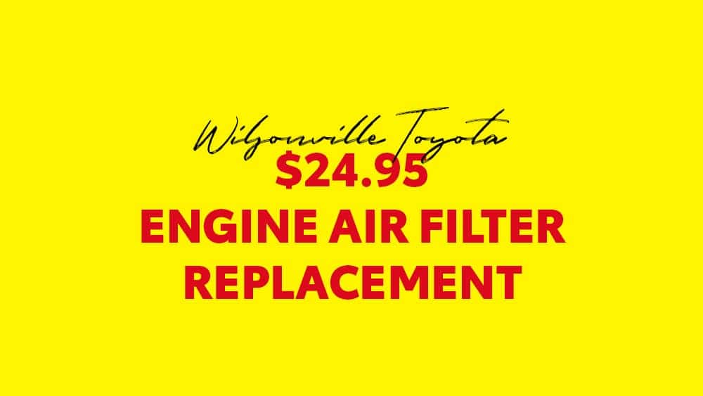 wiltoy-february-engine-air-filter