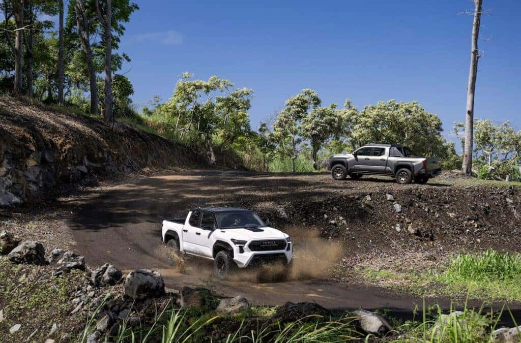 2024 toyota tacoma wilsonvilletoyota
