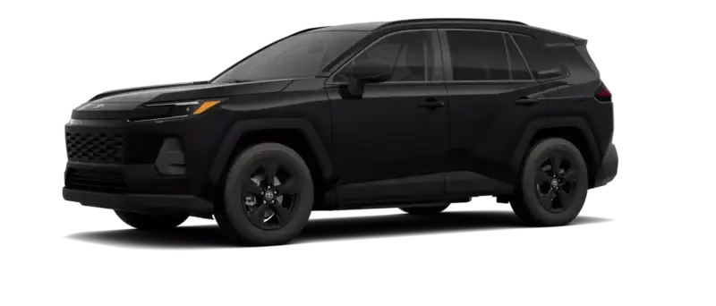 Midnight Black Metallic