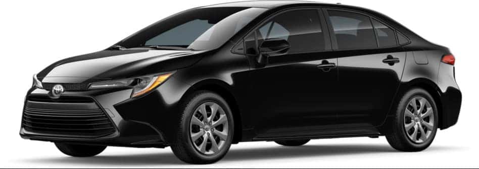 Midnight Black Metallic