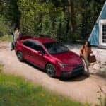 Corolla